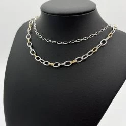 Indie Collection New Arrivals Silver + Gold Layered Necklace